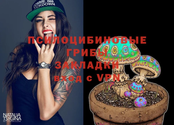 прущие крисы Арсеньев