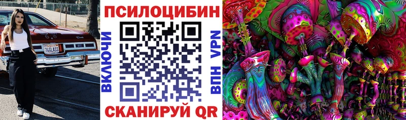 Купить закладки  Воркута  Галлюциногенные грибы Psilocybine cubensis 